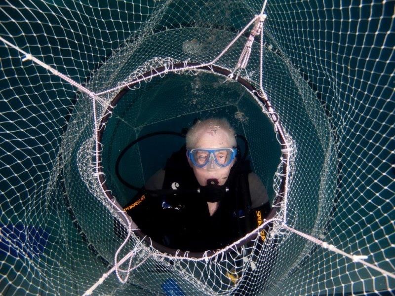 Nettentraining 02.jpg